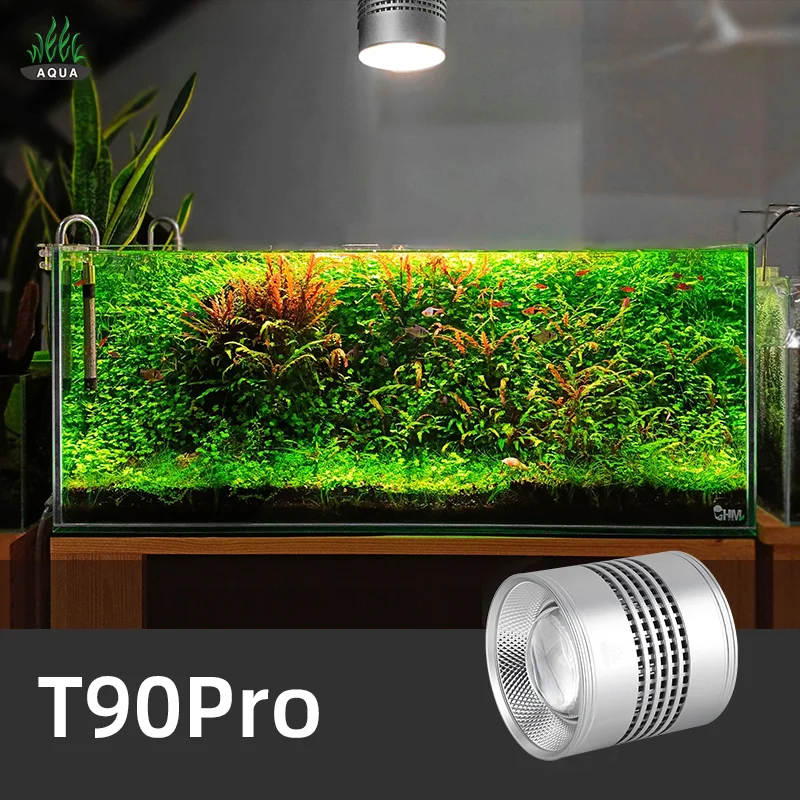 Aquarium Plant Not Growing - Week Aqua T Series T90 Pro