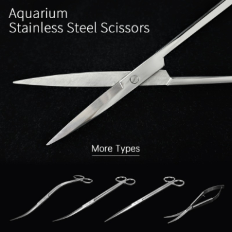 Planted Aquarium Parameters - Week Aqua Stainless Steel Aquatic Plant