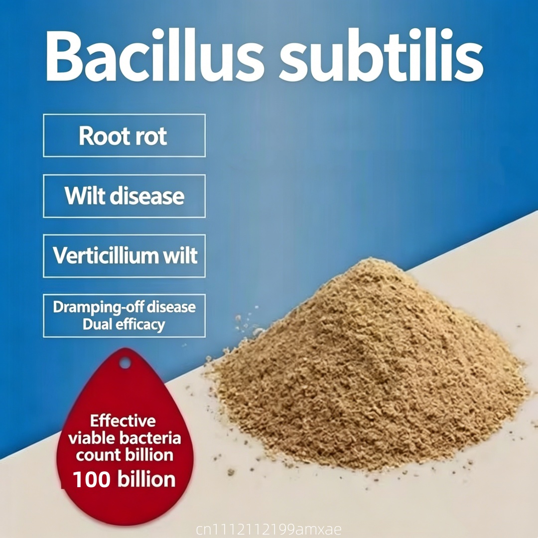 Aquarium Plant Diseases - High Activity Bacillus Subtilis Powder Organic