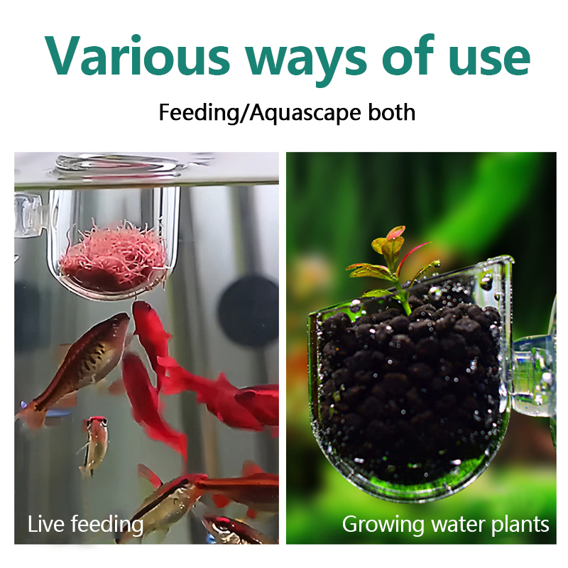 Aquarium Decoration Plant Cup  - Aquarium Plant Utensils recension och pris
