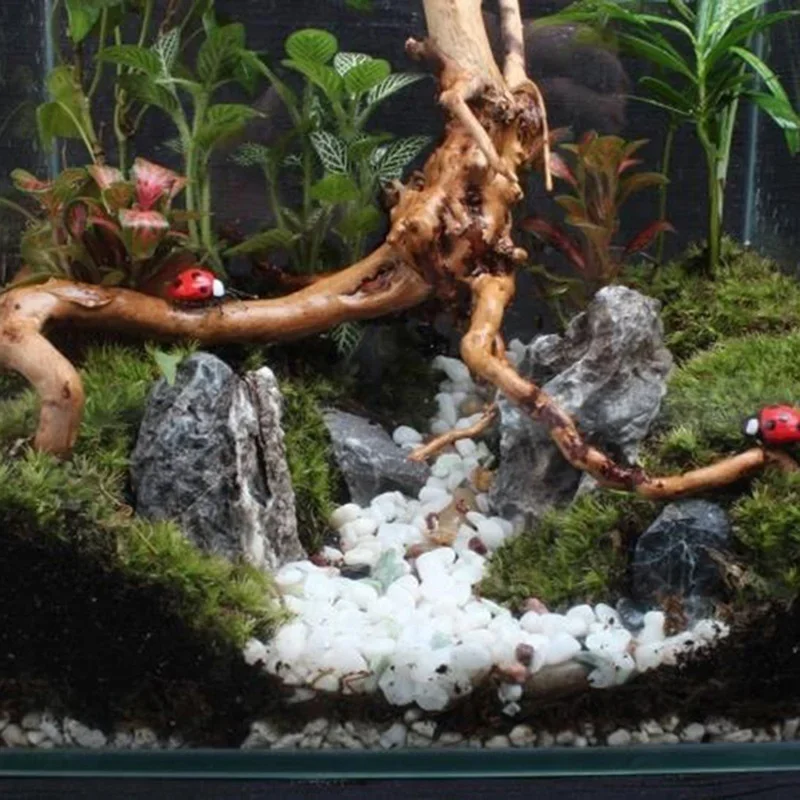 Natural Tree Trunk Driftwood A - Planted Aquarium Media recension och pris