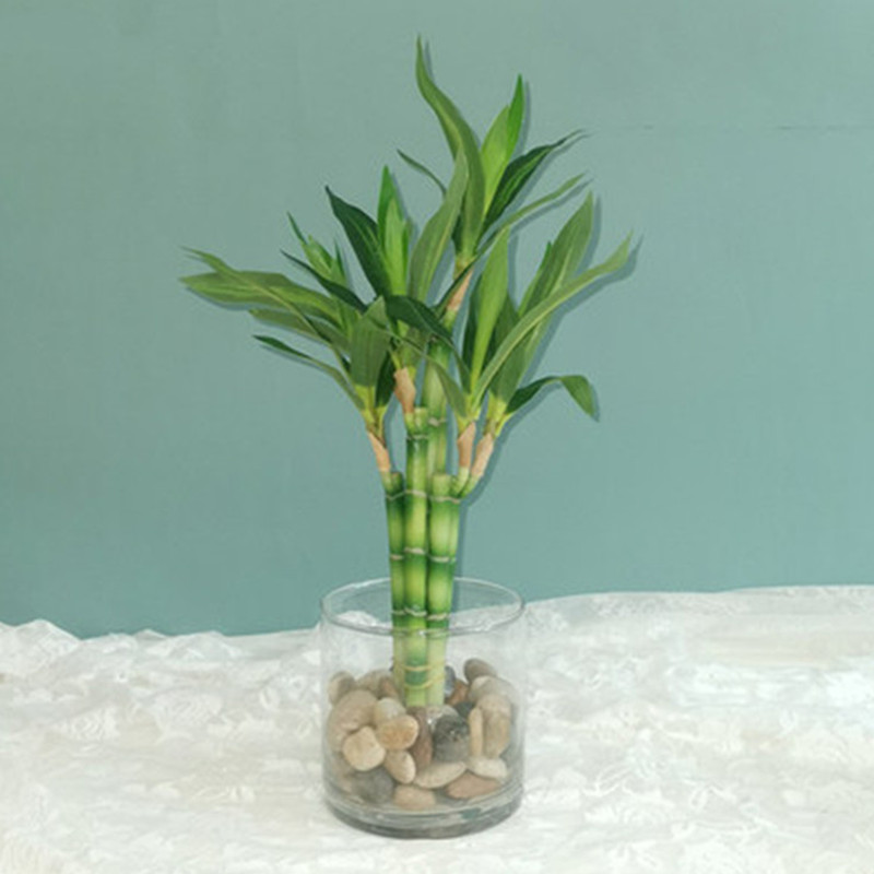 New 40cm rFtificial Lucky Bamb - Aquarium Planted Tank recension och pris