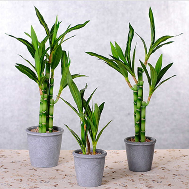 New 40cm rFtificial Lucky Bamb - Aquarium Planted Tank recension och pris