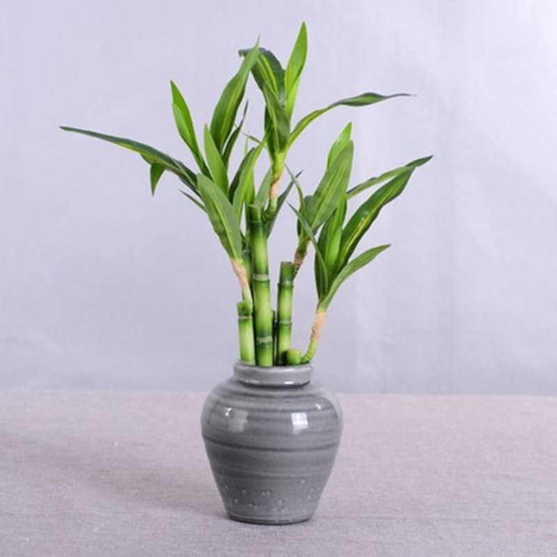 New 40cm rFtificial Lucky Bamb - Aquarium Planted Tank recension och pris
