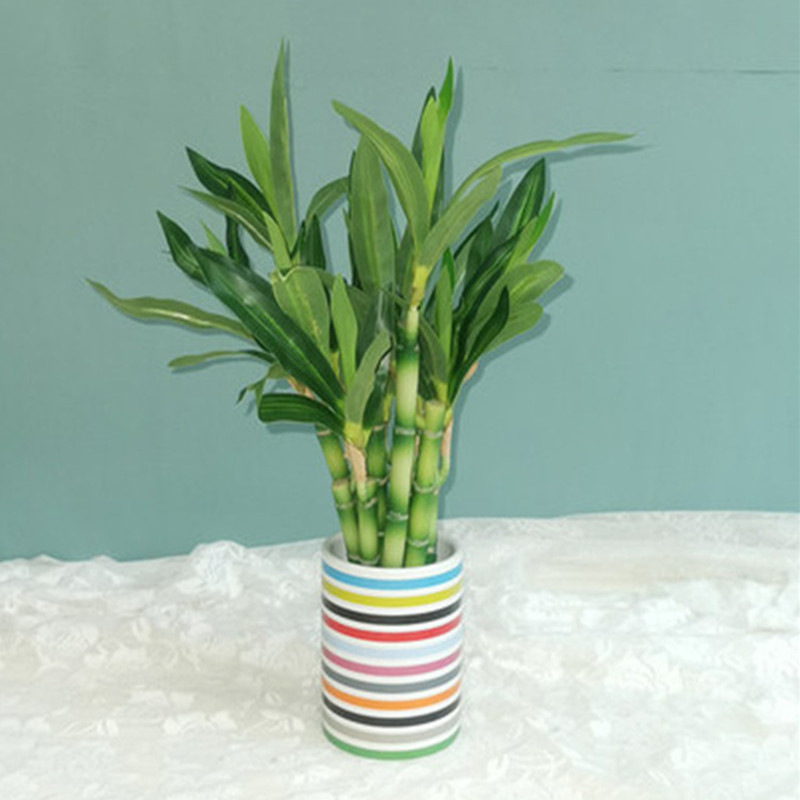 New 40cm rFtificial Lucky Bamb - Aquarium Planted Tank recension och pris