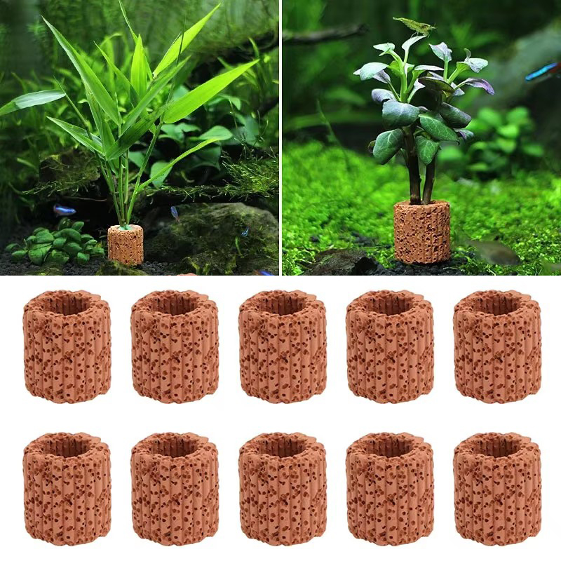 Aquatic Plant Fixed Ring for A - Aquarium Plant Utensils recension och pris