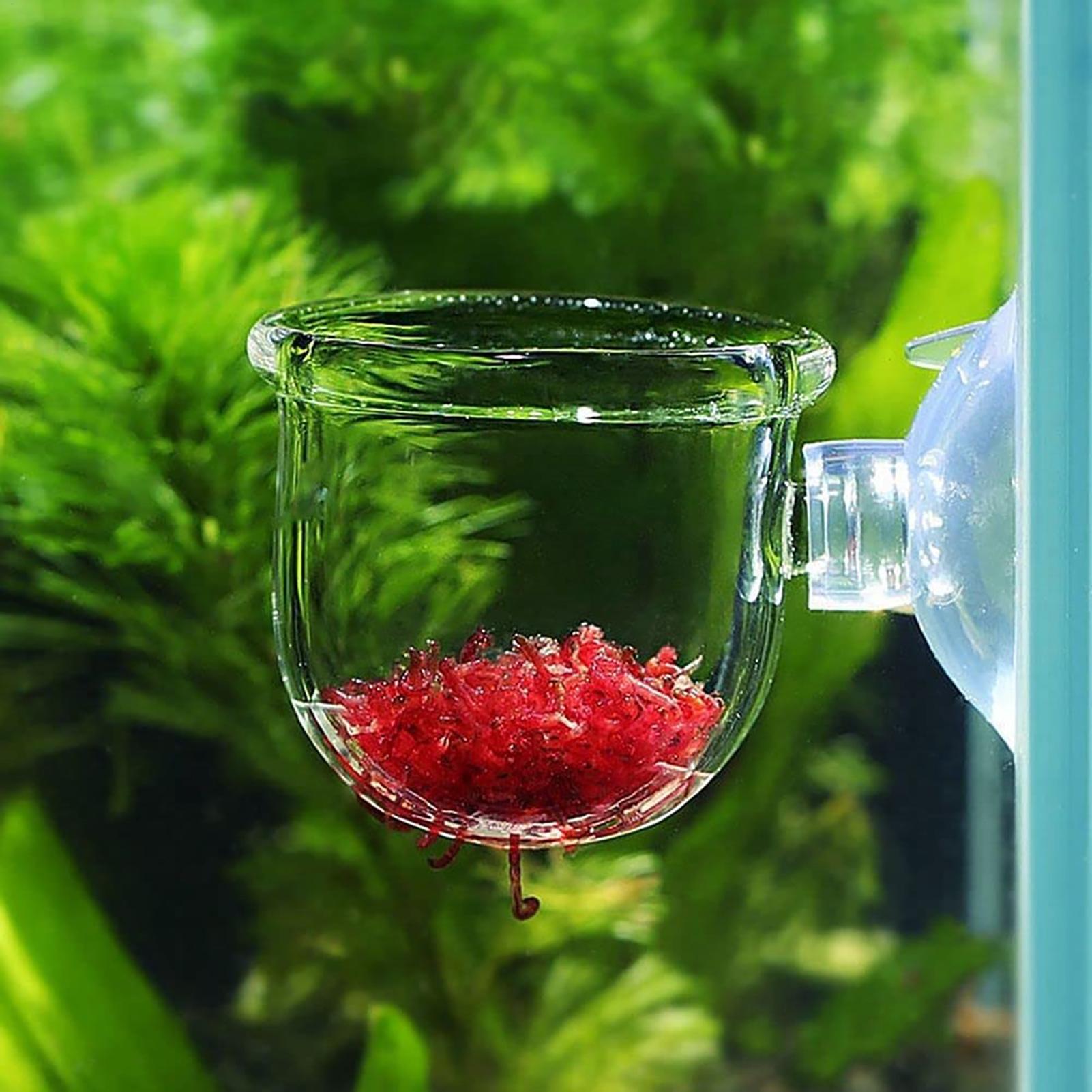 Aquarium Decoration Plant Cup  - Aquarium Plant Utensils recension och pris