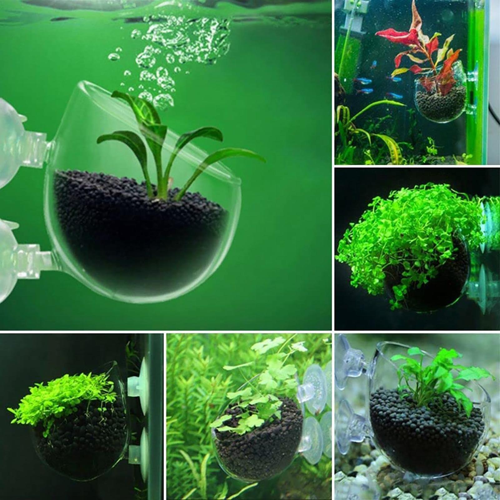 Aquarium Decoration Plant Cup  - Aquarium Plant Utensils recension och pris