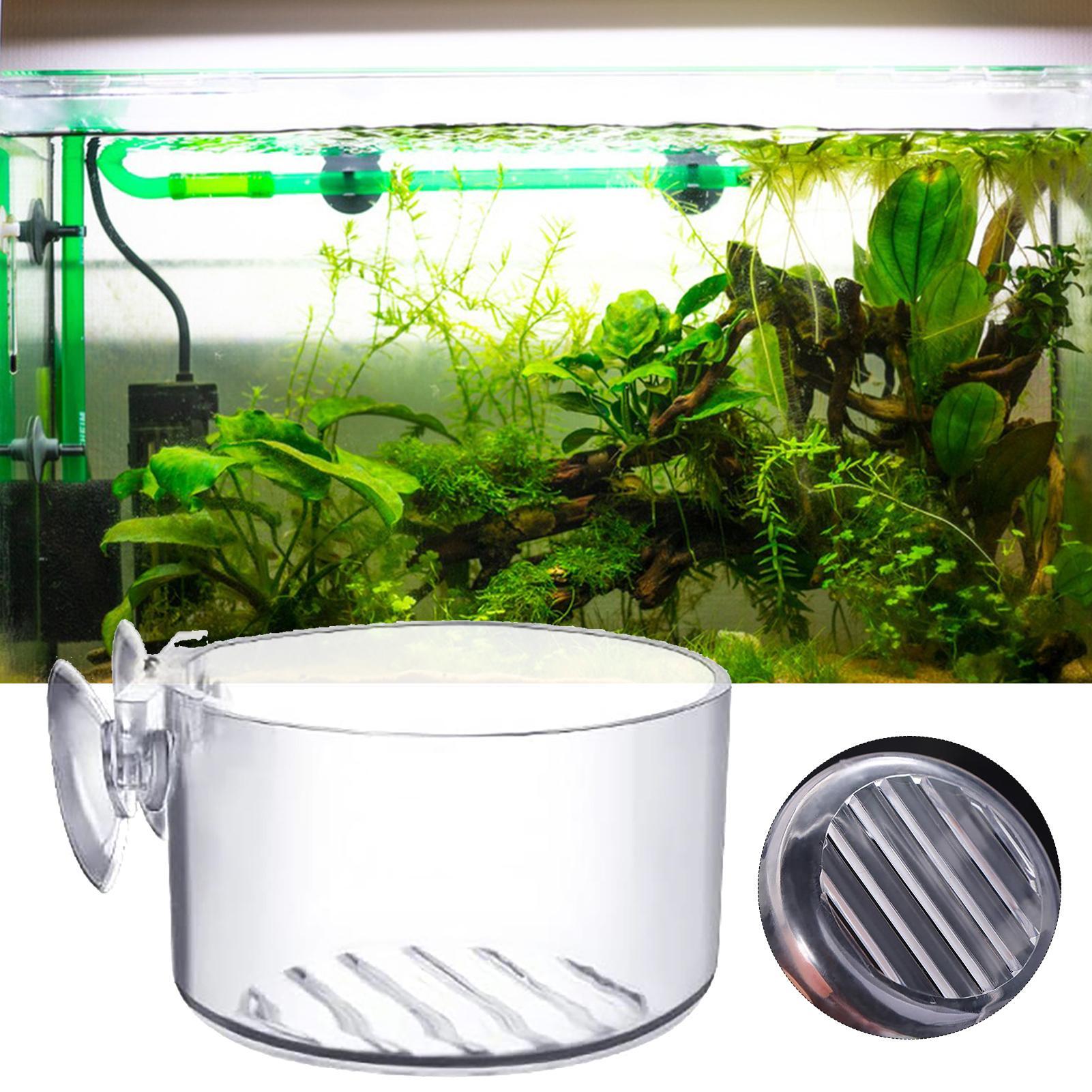 Aquarium Decoration Plant Cup  - Aquarium Plant Utensils recension och pris