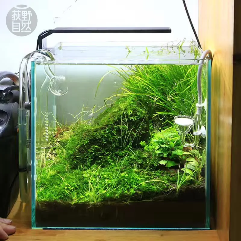 Chihiros C Series ADA Style Pl - Aquarium Plant Diseases recension och pris