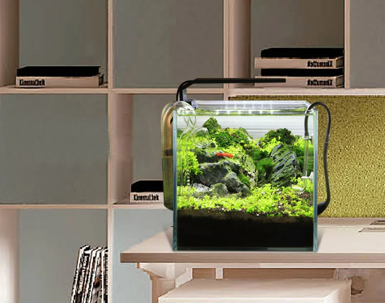 Chihiros C Series ADA Style Pl - Aquarium Plant Diseases recension och pris
