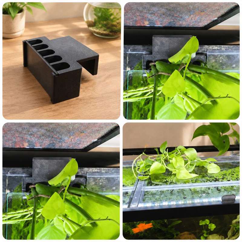 Fish Tank Side Plant Mount Bra - Aquarium Plant Diseases recension och pris