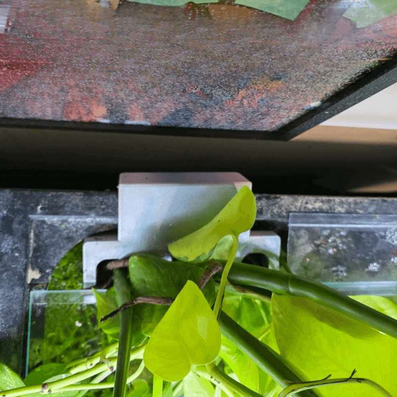 Fish Tank Side Plant Mount Bra - Aquarium Plant Diseases recension och pris