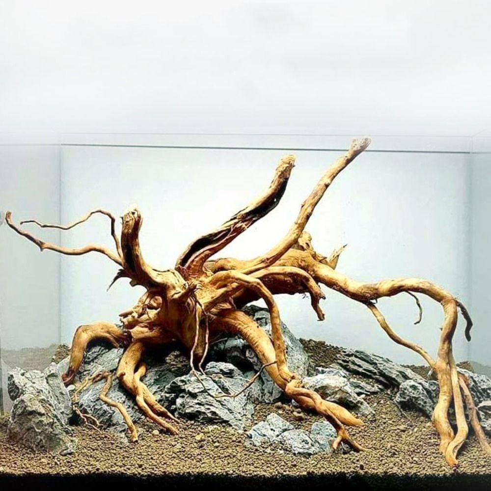 20-25CM Large Aquarium Driftwo - Planted Aquarium Media recension och pris