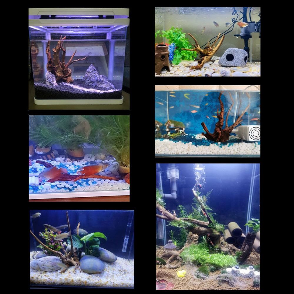 20-25CM Large Aquarium Driftwo - Planted Aquarium Media recension och pris