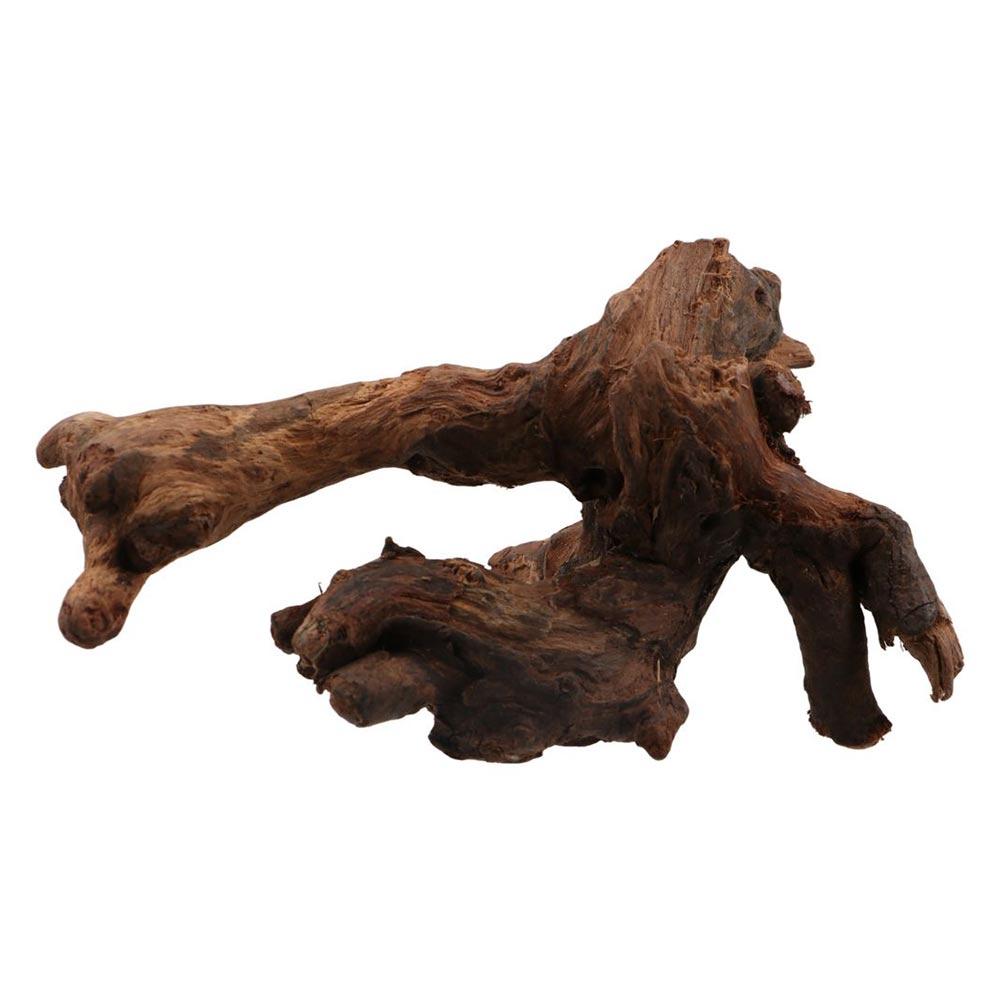 Creative Irregular Shape Coral - Planted Aquarium Media recension och pris