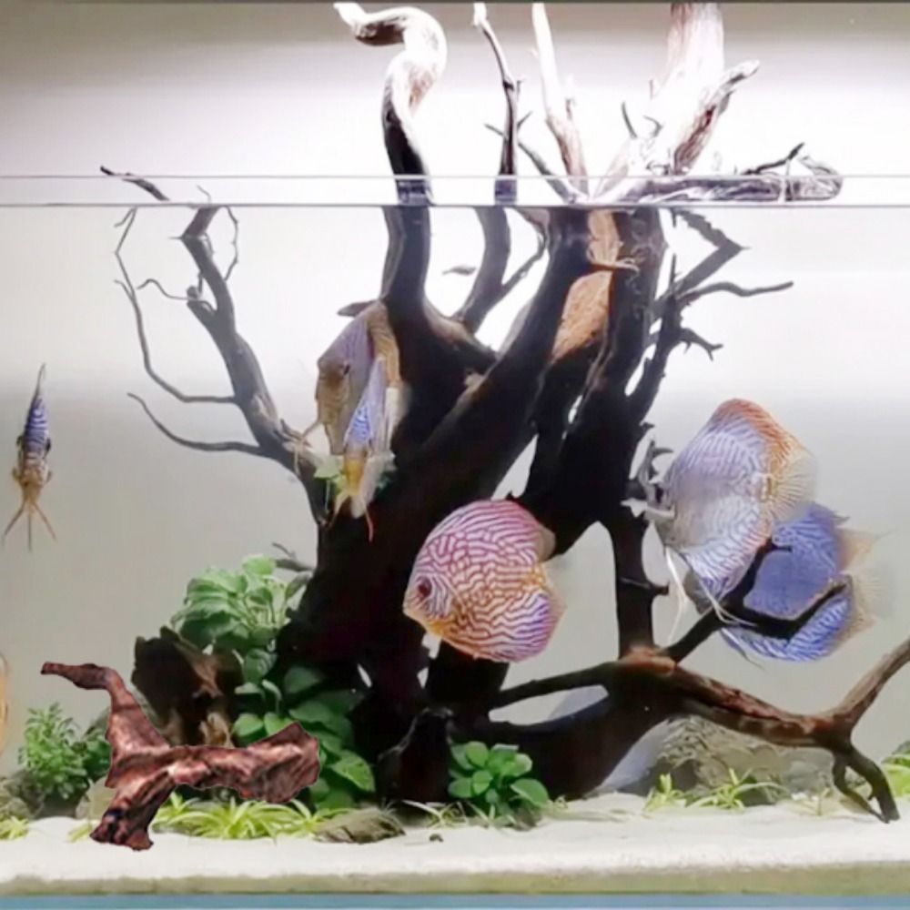 Creative Irregular Shape Coral - Planted Aquarium Media recension och pris