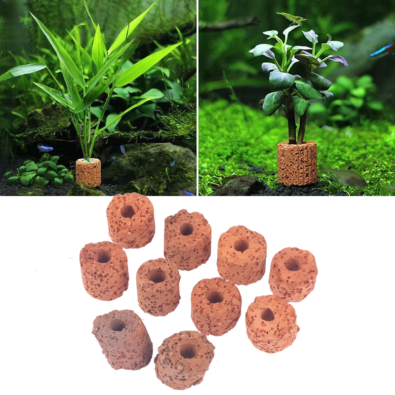 ^10Pcs Plant Ring Aquarium Fix - Aquarium Plant Utensils recension och pris