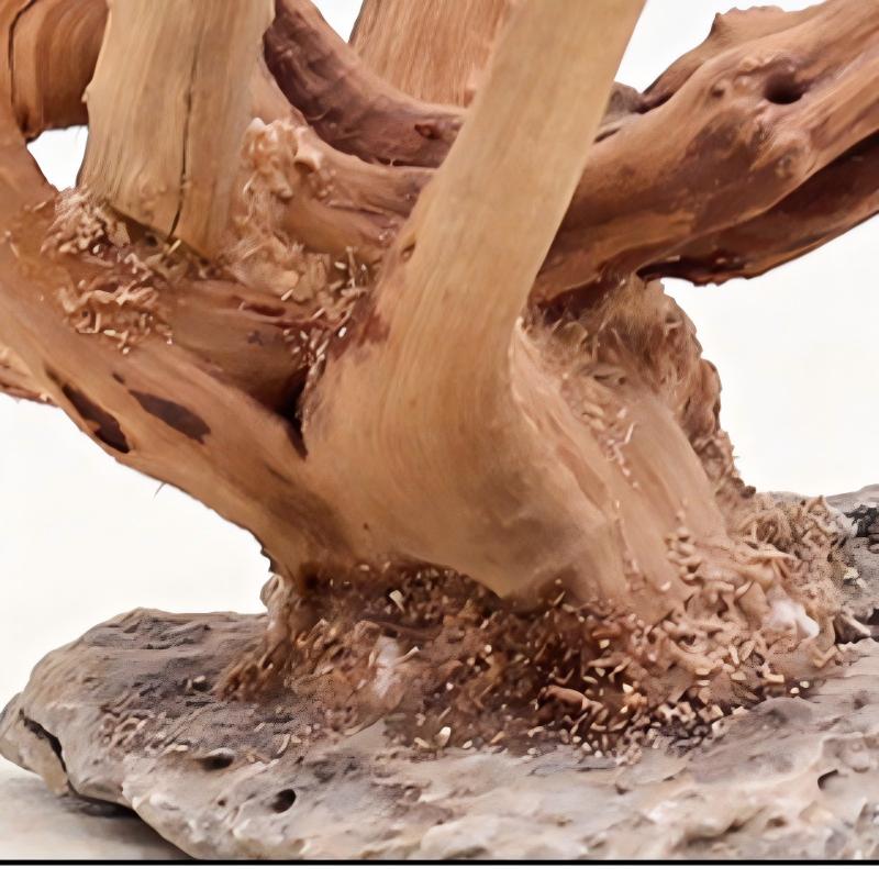 1PC Aquarium Landscaping Wood  - Planted Aquarium Media recension och pris