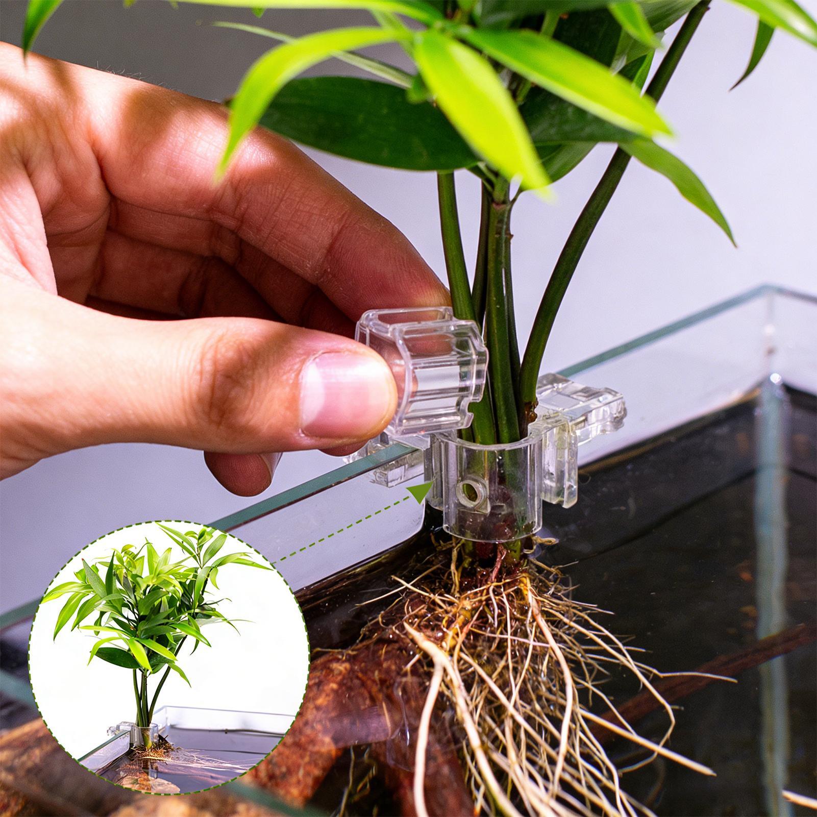 Fish Tank Plant Holder 6 Piece - Aquarium Plant Diseases recension och pris