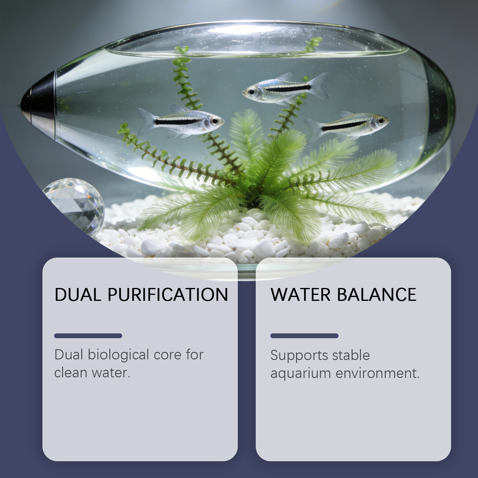 Algae Remover Tablets for Aqua - Planted Aquarium Algae Remover recension och pris