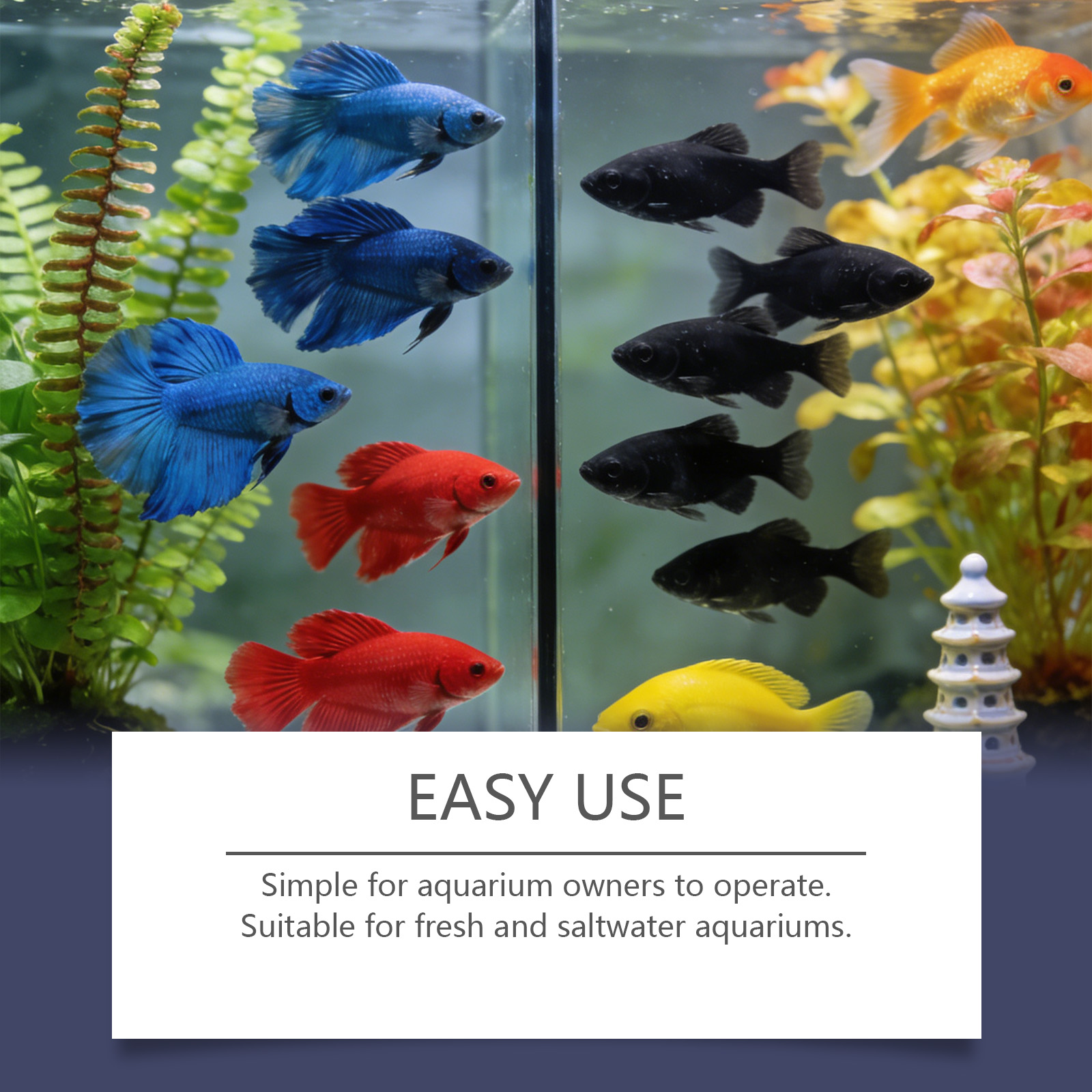 Algae Remover Tablets for Aqua - Planted Aquarium Algae Remover recension och pris