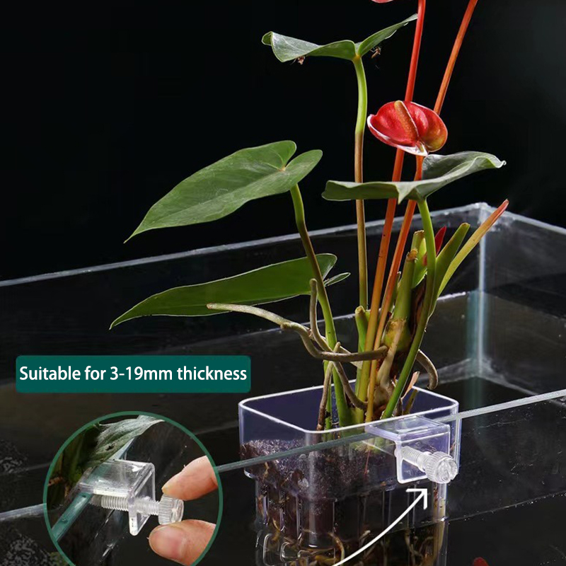 Multifunctional Fish Aquarium  - Aquarium Planted Tank recension och pris