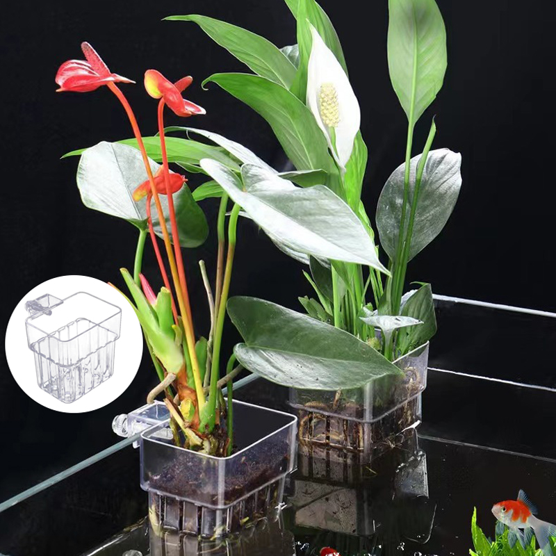 Multifunctional Fish Aquarium  - Aquarium Planted Tank recension och pris
