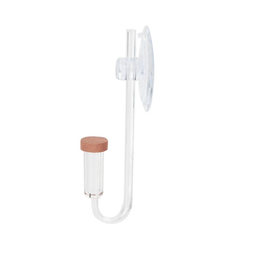 Acrylic Mini Fish Tank Live Pl - Planted Aquarium Parameters recension och pris