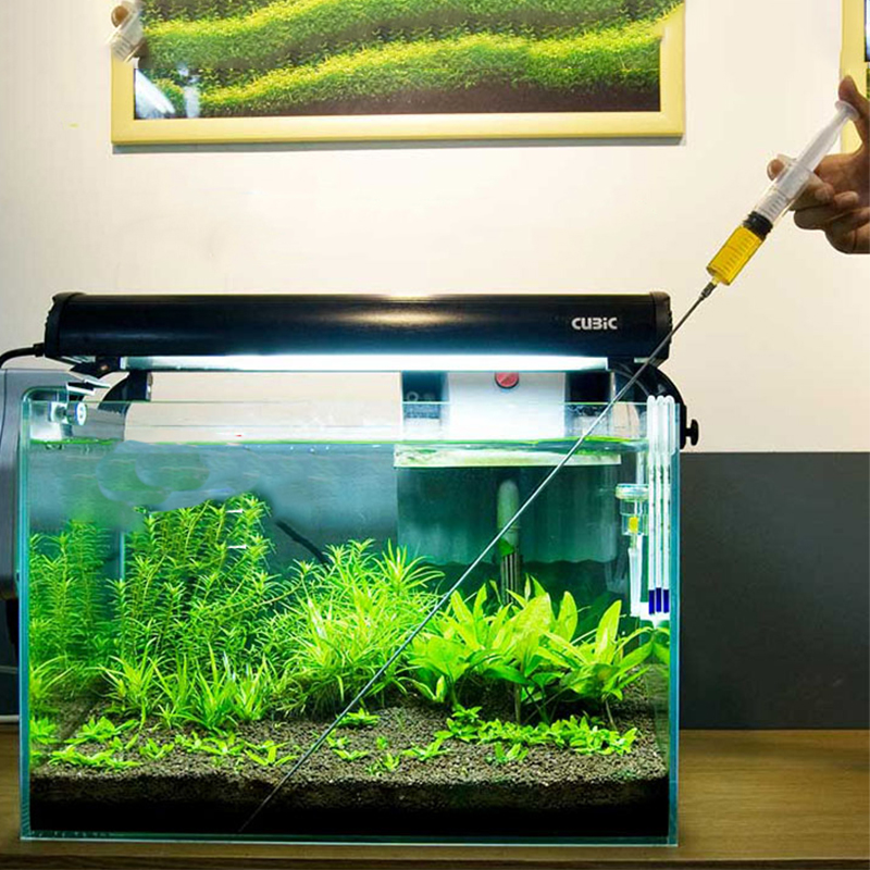 Aquarium Plants Growth Heathy  - Aquarium Plant Utensils recension och pris